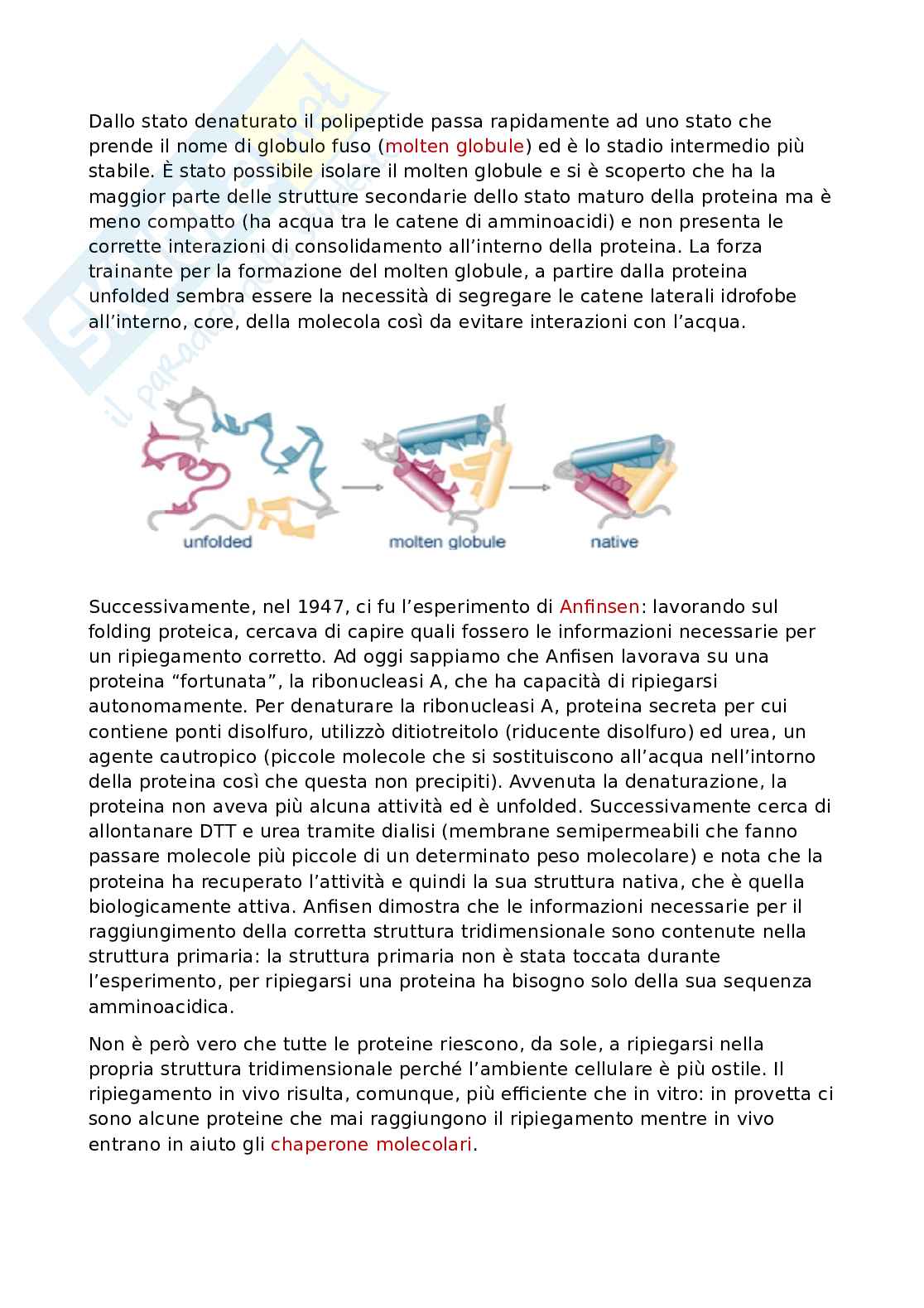 Folding proteico Pag. 2