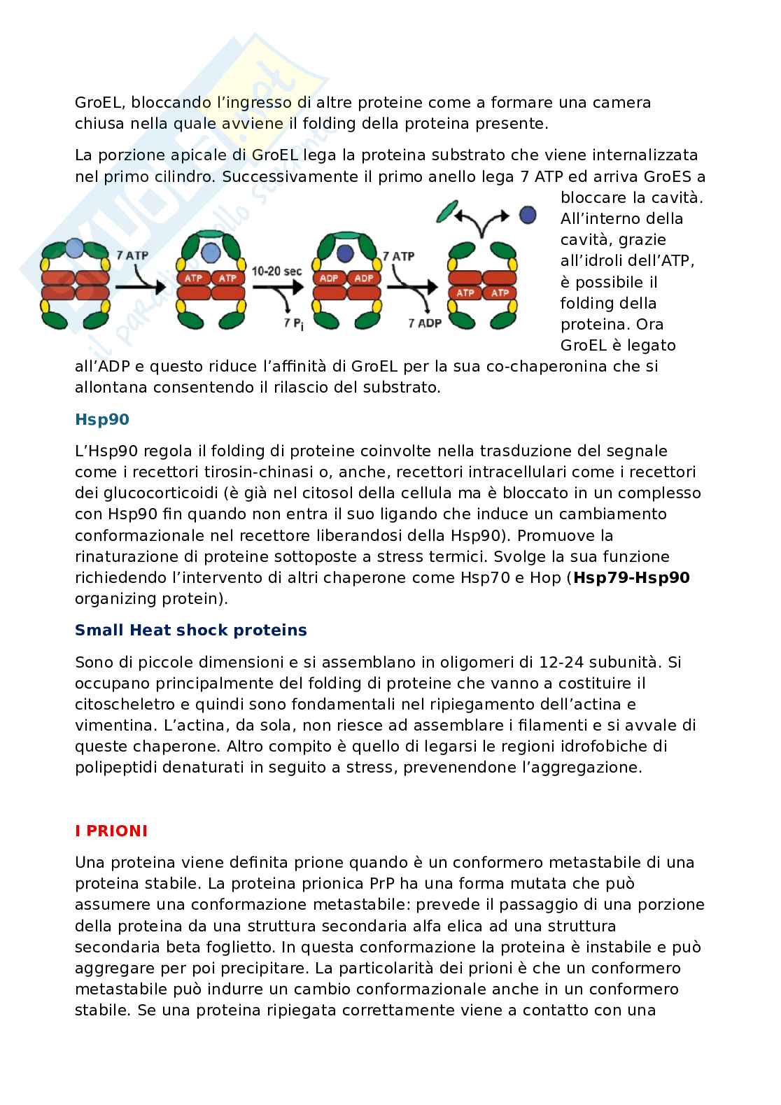 Folding proteico Pag. 6