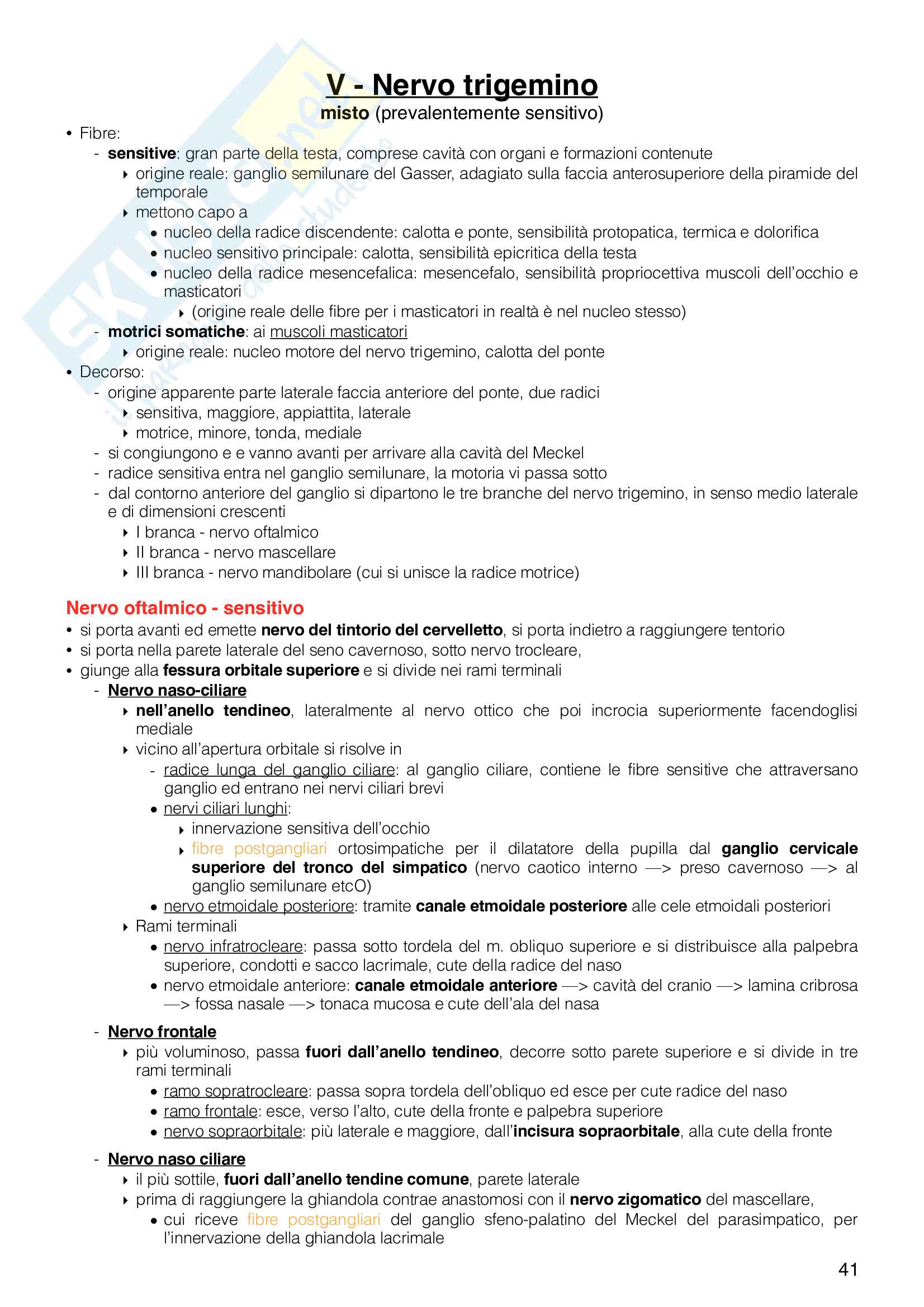 Schemi Anatomia Pag. 41