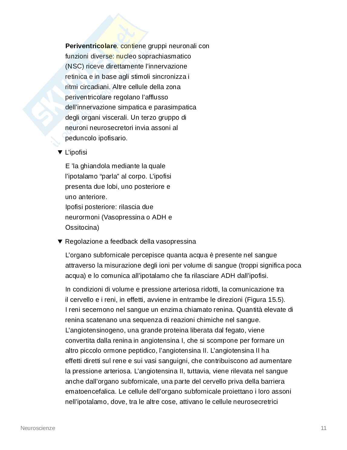 Appunti Neuroscienze - Psicologia dello Sport Pag. 11