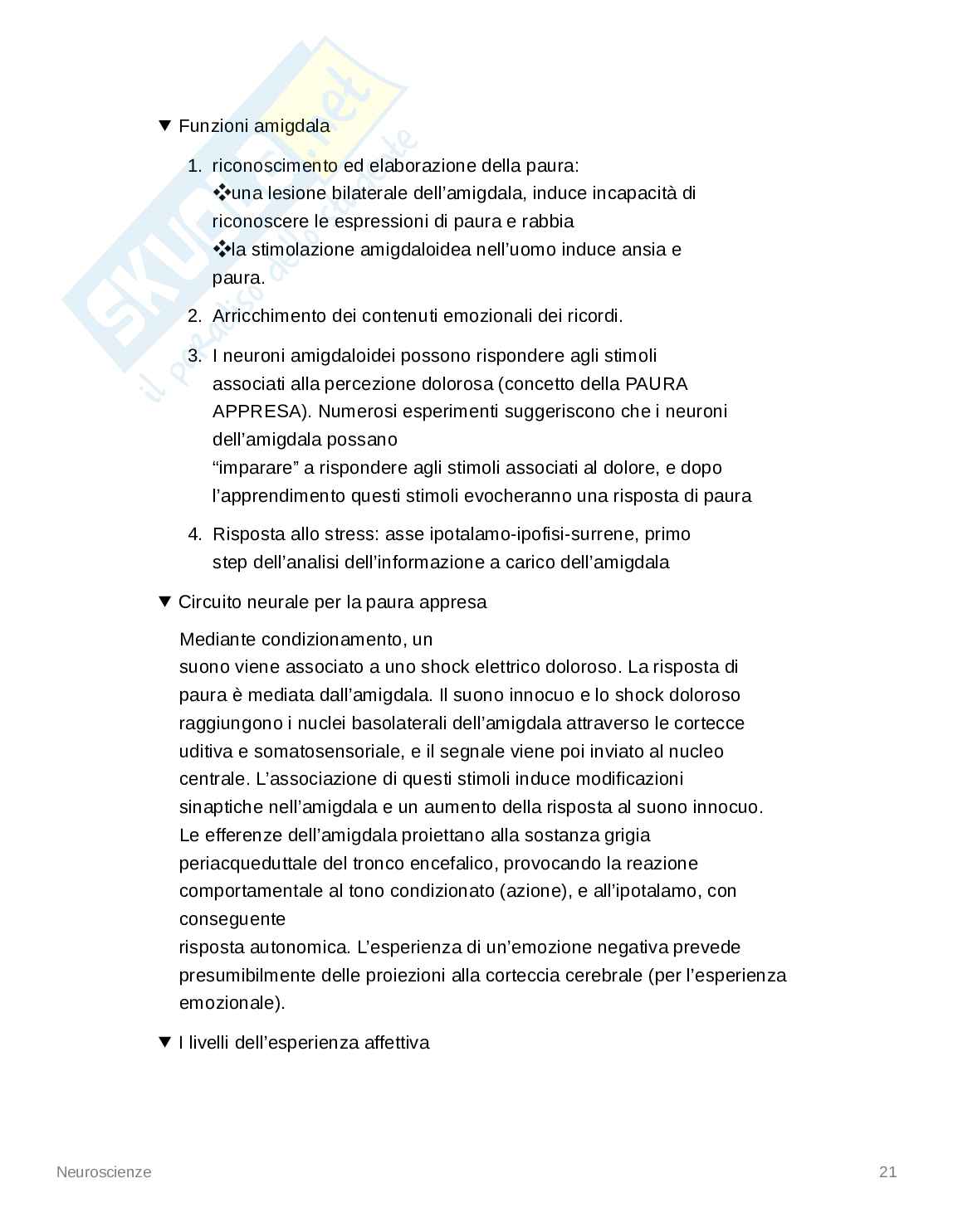 Appunti Neuroscienze - Psicologia dello Sport Pag. 21