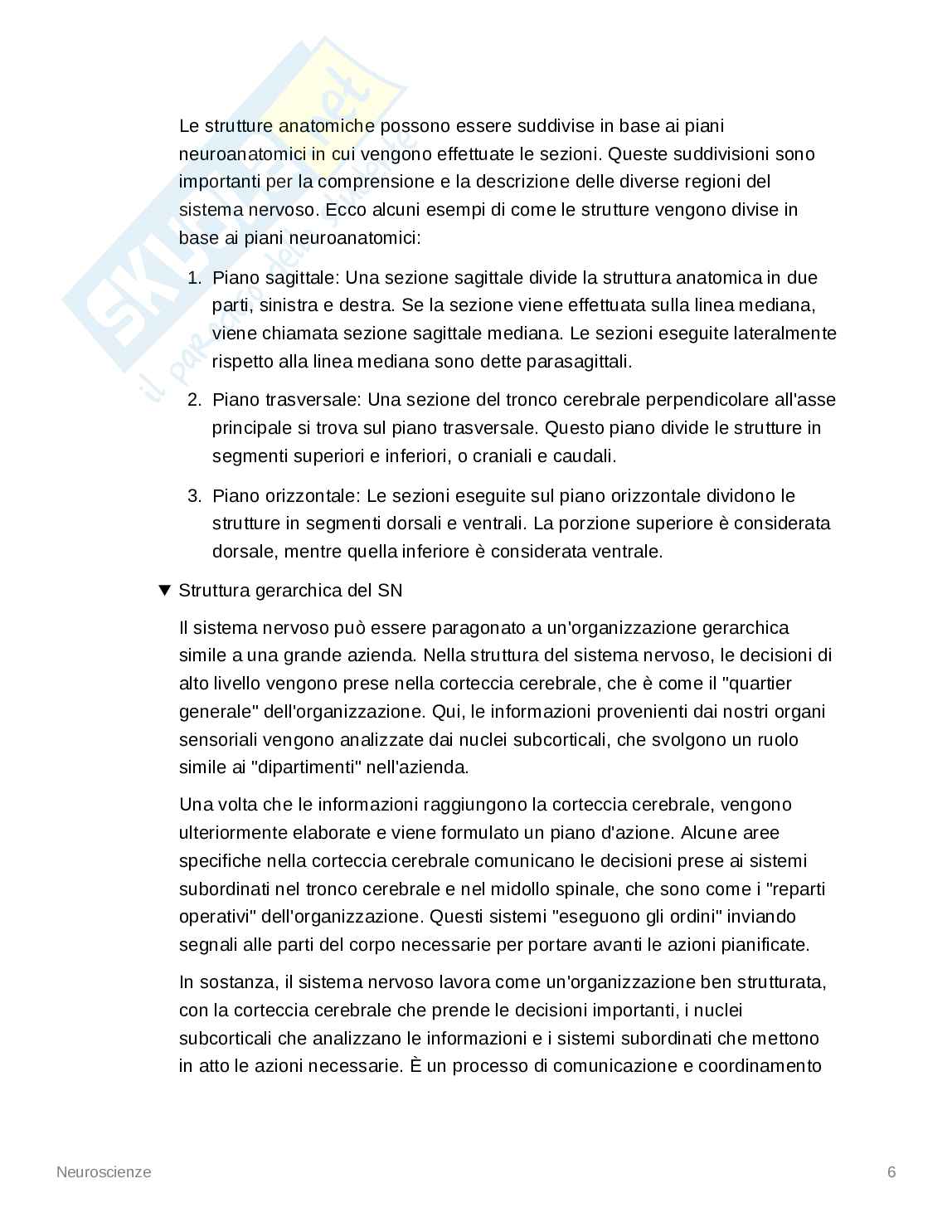 Appunti Neuroscienze - Psicologia dello Sport Pag. 6