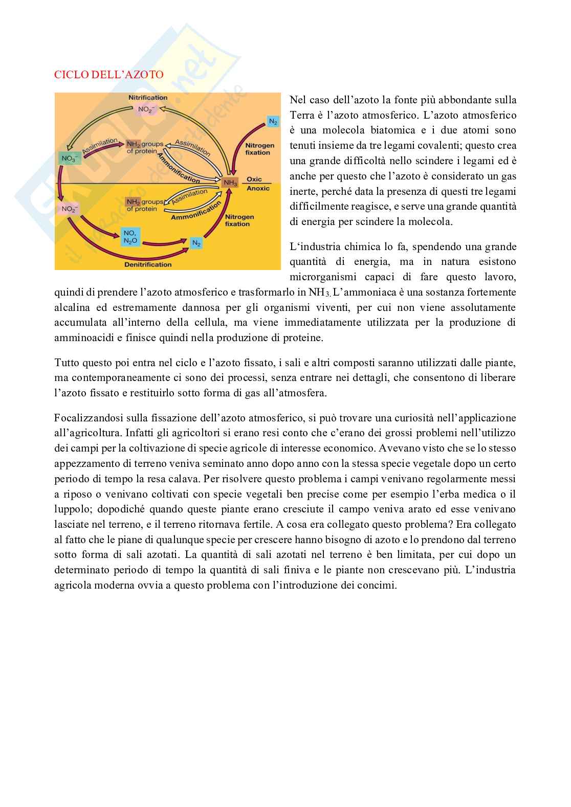 Microbiologia Pag. 1
