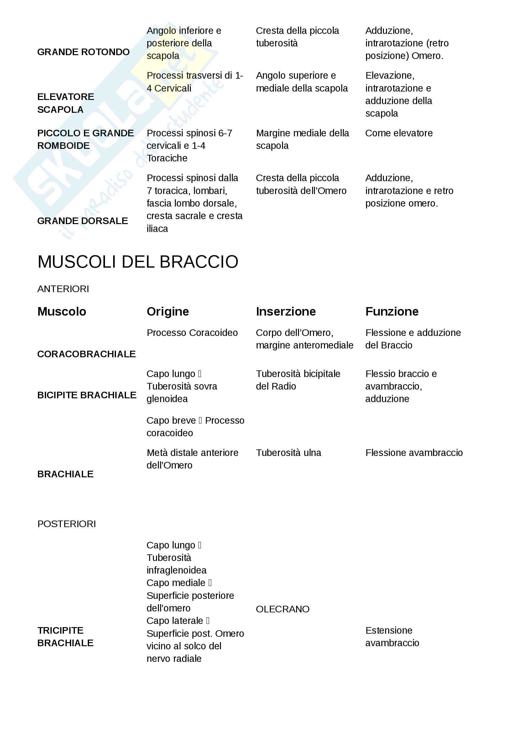 Muscoli, Anatomia Pag. 2