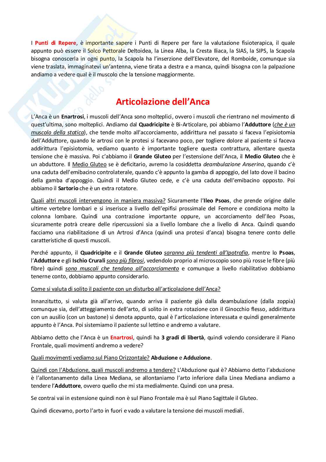 Chinesiologia 2 - anca (+ Test di Valutazione) Pag. 2