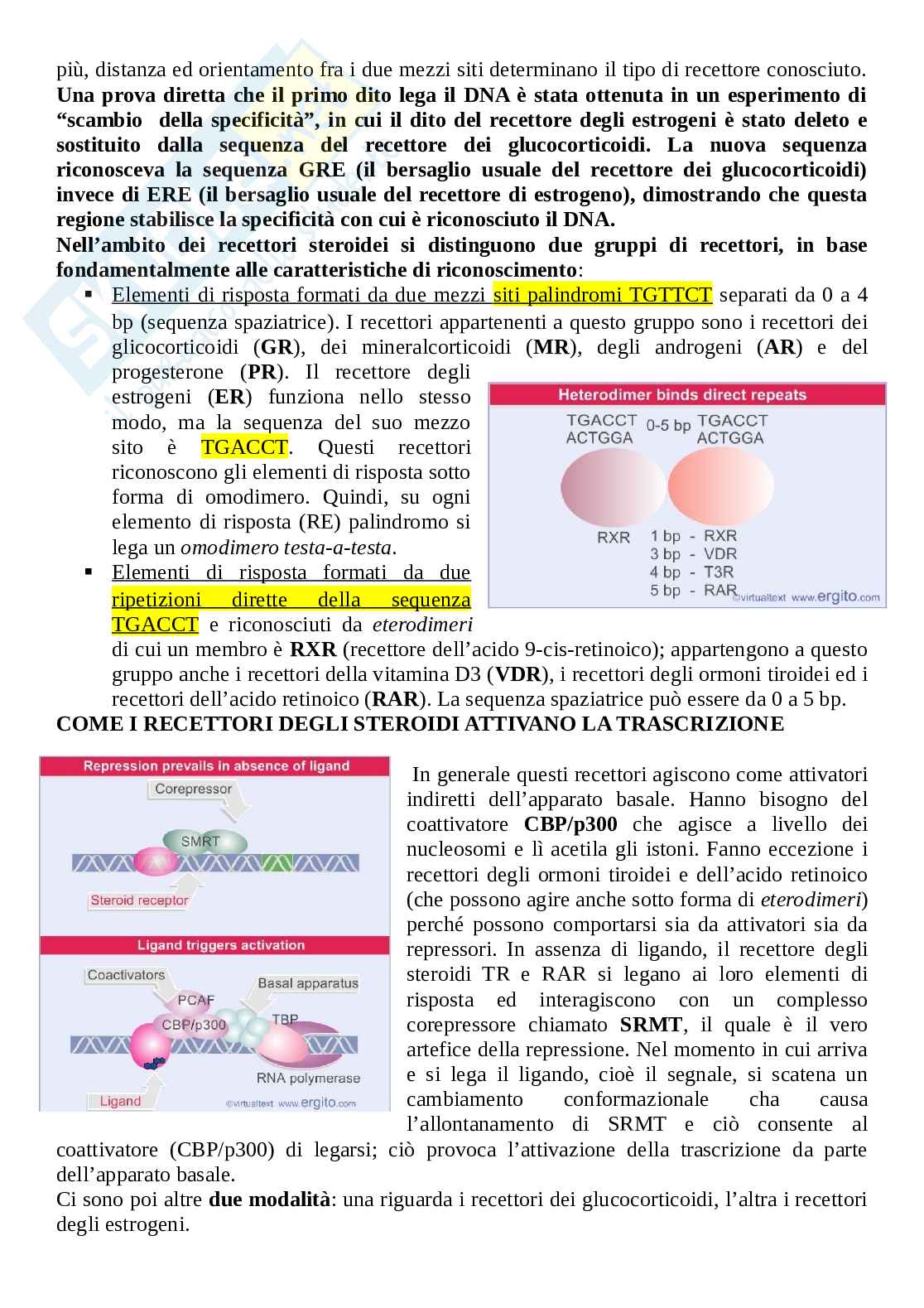 Biologia molecolare applicata alla diagnostica Pag. 66