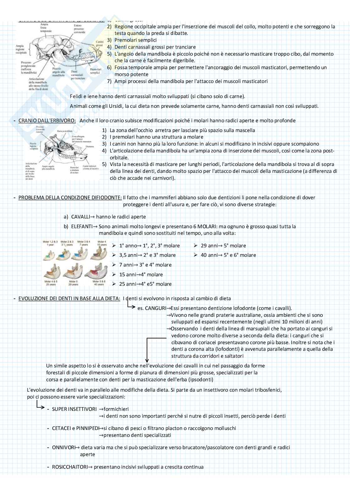 Zoologia dei vertebrati Pag. 81