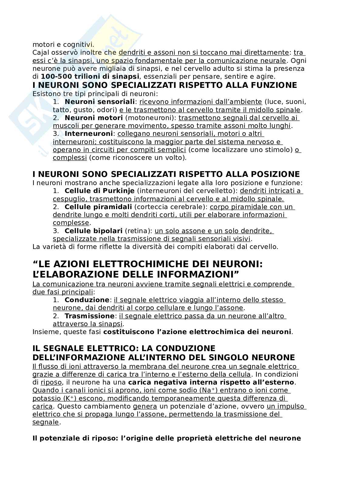 Riassunto esame Psicologia generale, Prof. Angelelli Paola, libro consigliato Psicologia generale, Schacter, Gilbert, Nock Pag. 21