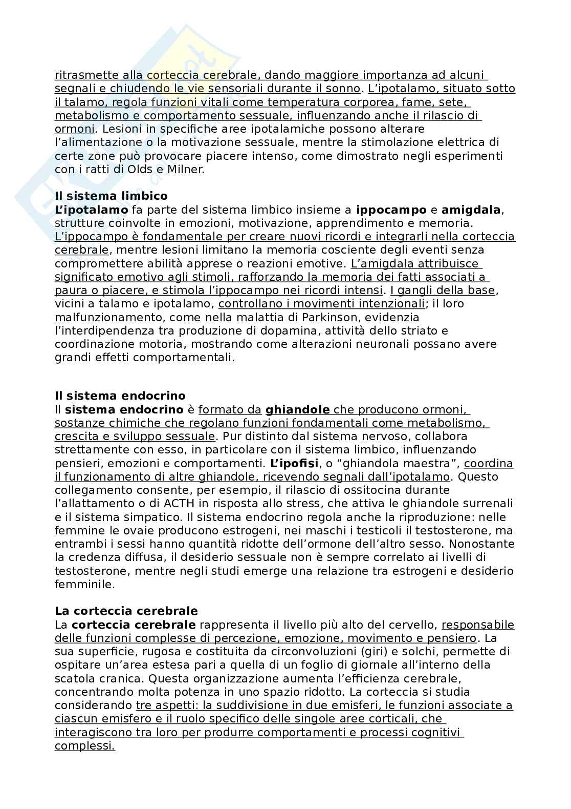 Riassunto esame Psicologia generale, Prof. Angelelli Paola, libro consigliato Psicologia generale, Schacter, Gilbert, Nock Pag. 26