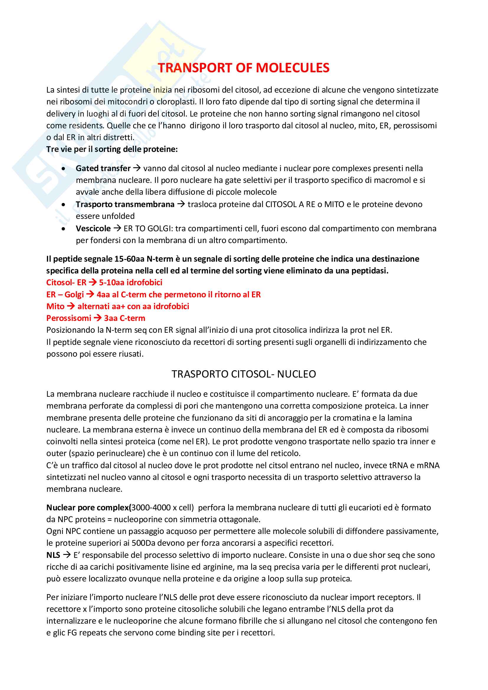 Biologia Molecolare Pag. 11