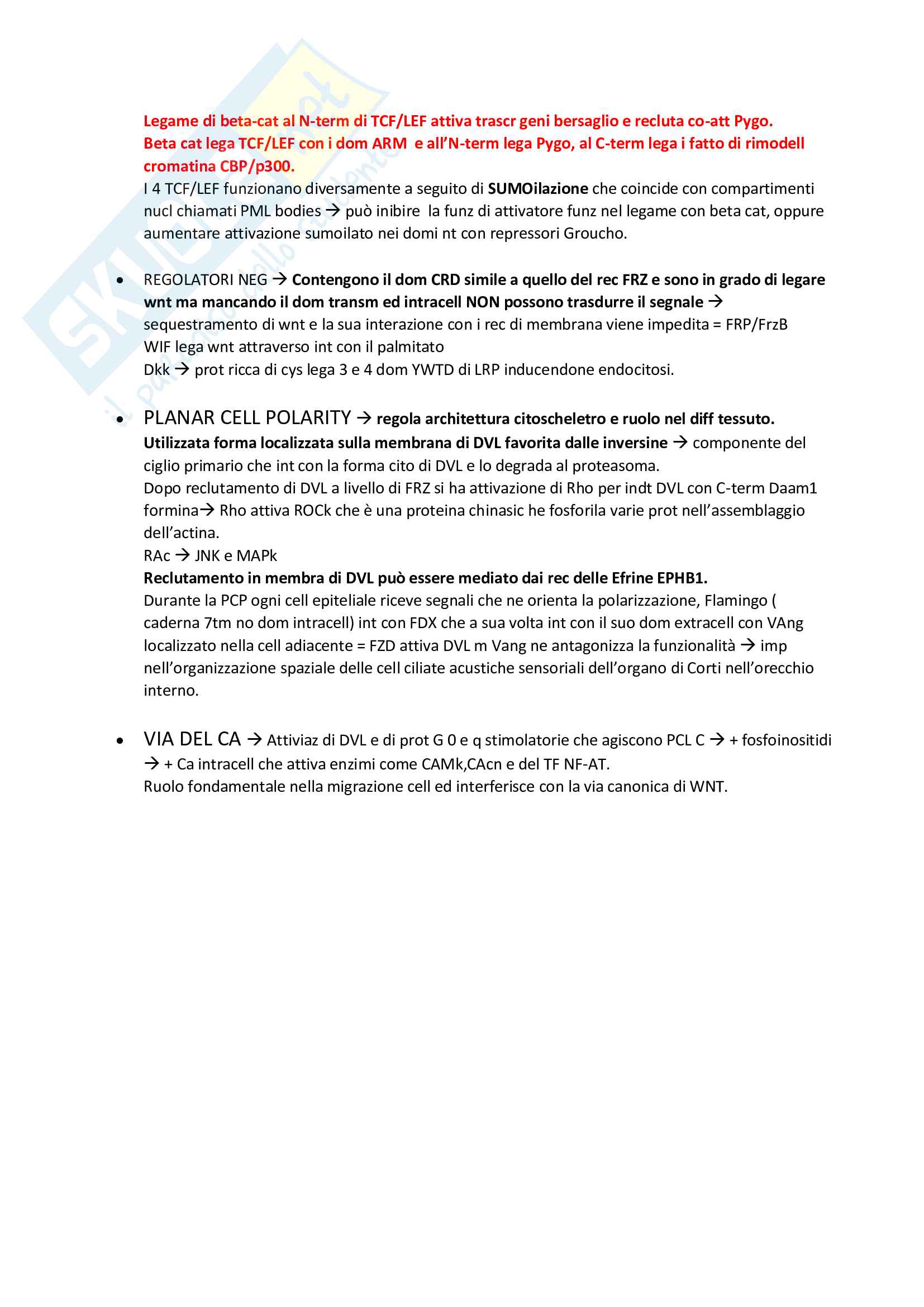 Biologia Molecolare Pag. 6