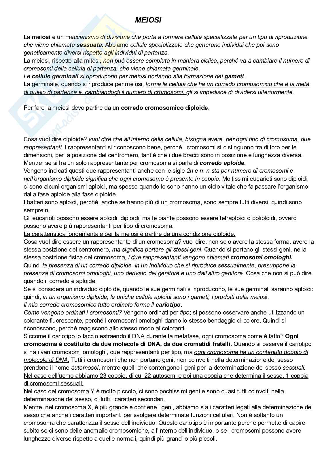 Meiosi Pag. 1