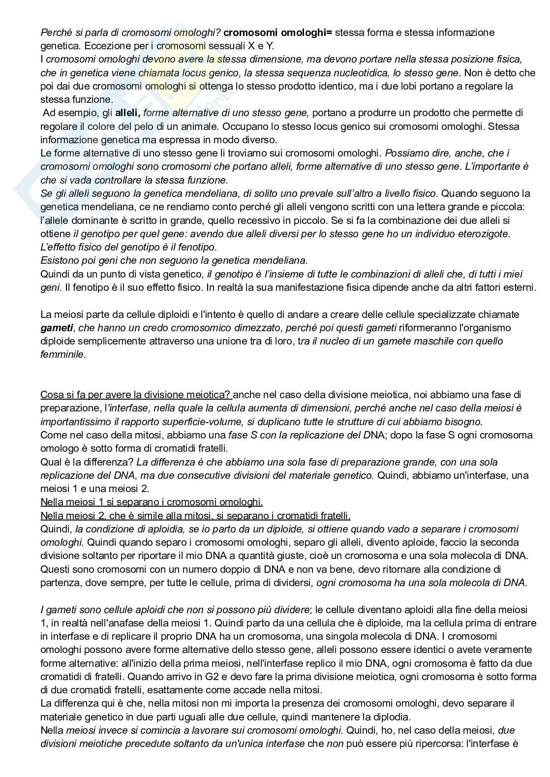 Meiosi Pag. 2