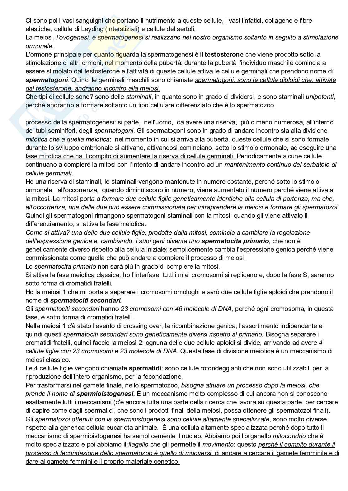 Meiosi Pag. 6