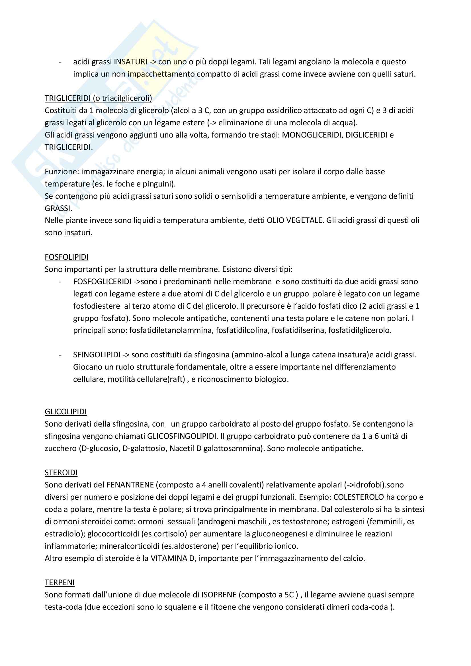 Lezioni, Biochimica Pag. 6