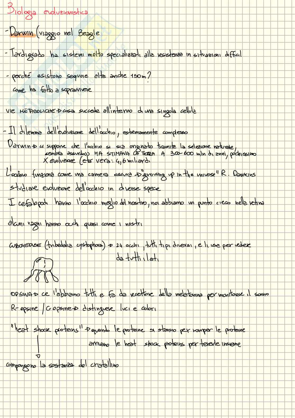 Appunti presi a lezione di Biologia evoluzionistica  Pag. 1