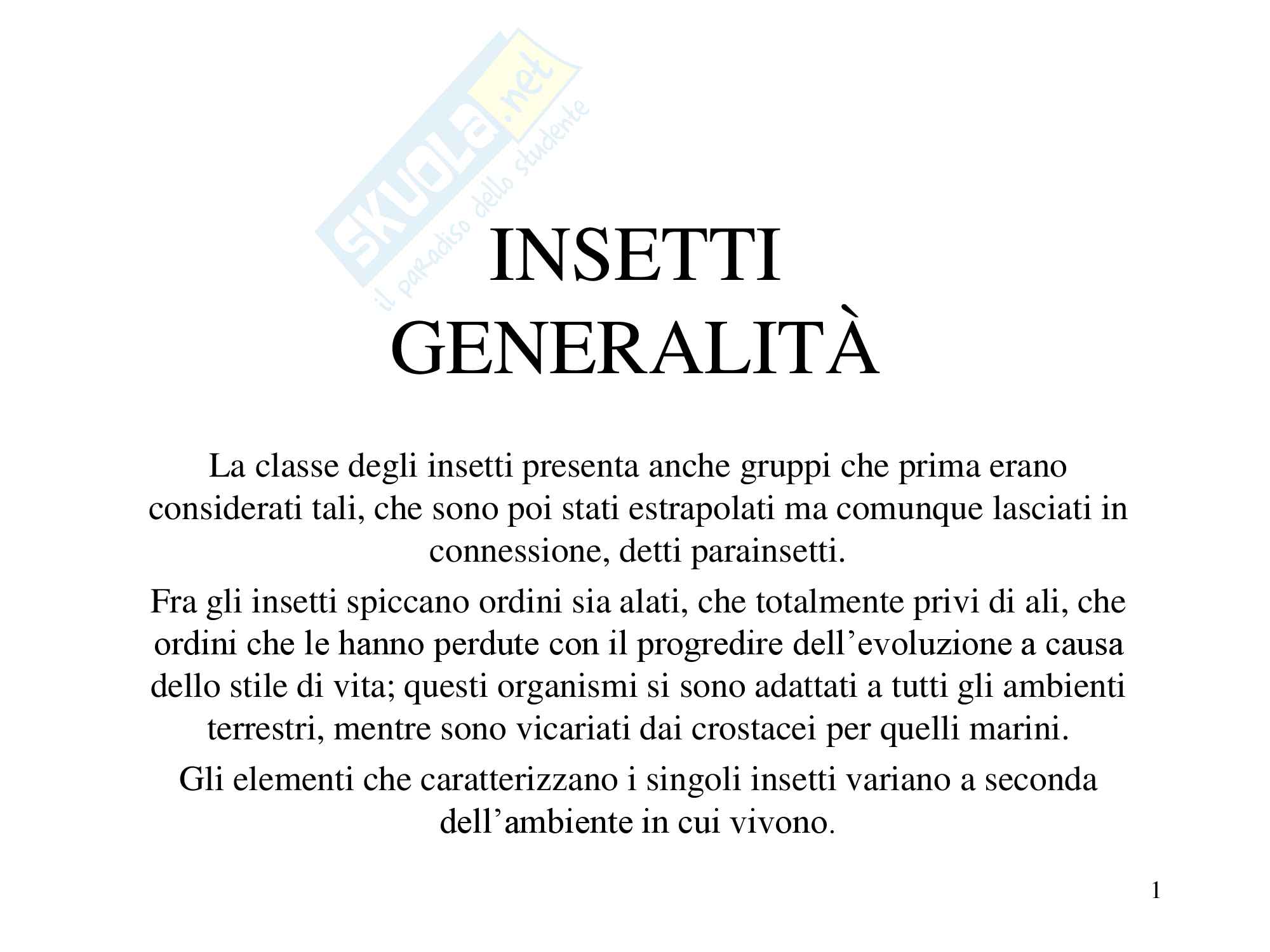 Insetti generalità, zoologia, scienze biologiche Pag. 1