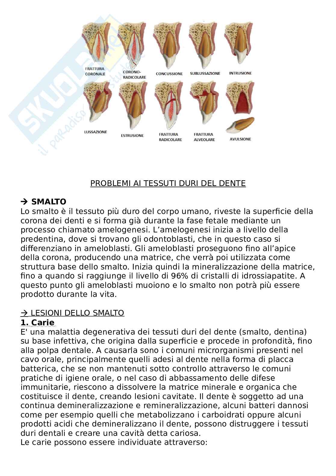 Protocolli di prevenzione delle patologie del cavo orale Pag. 6