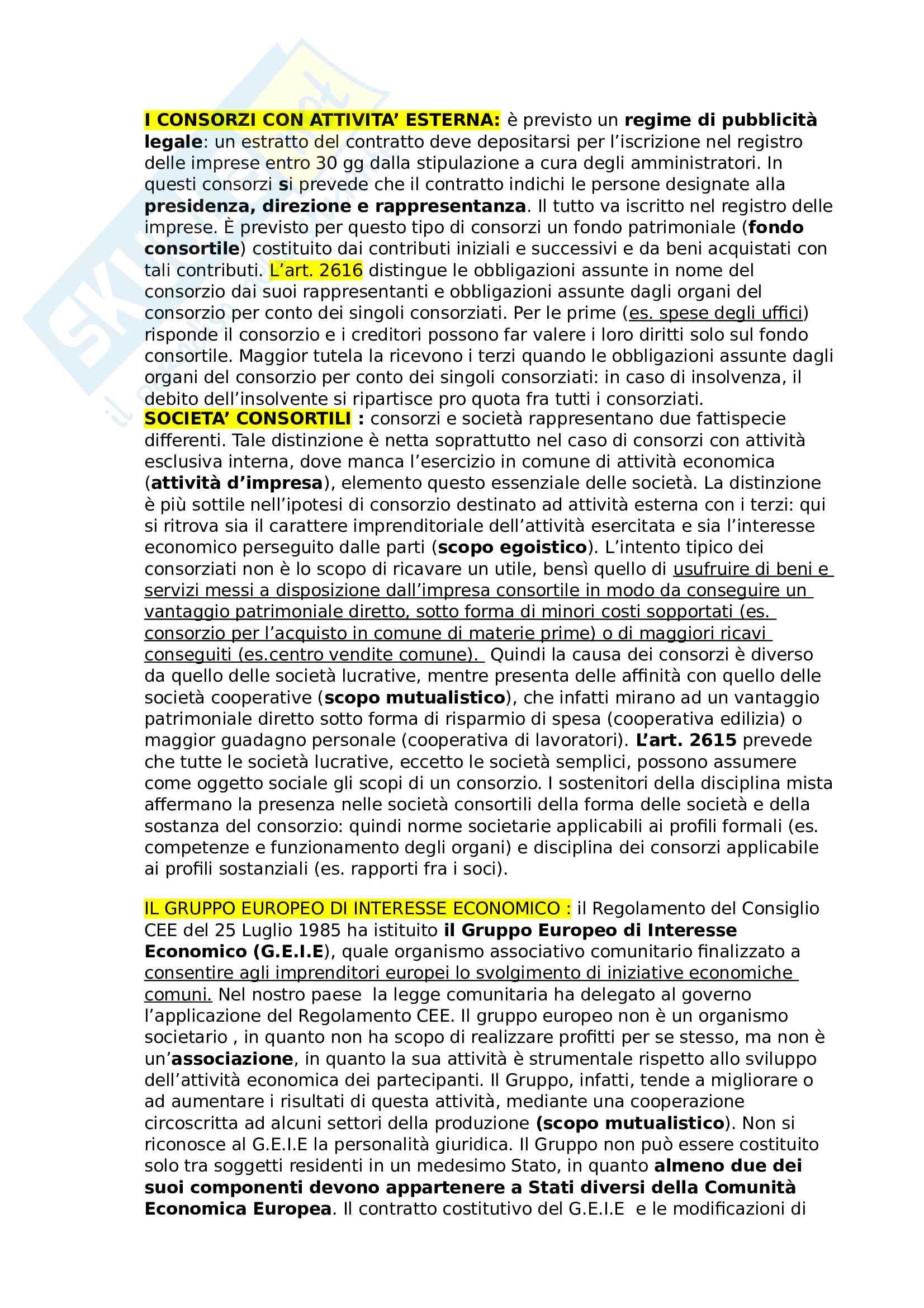 Diritto commerciale, riassunto Pag. 16
