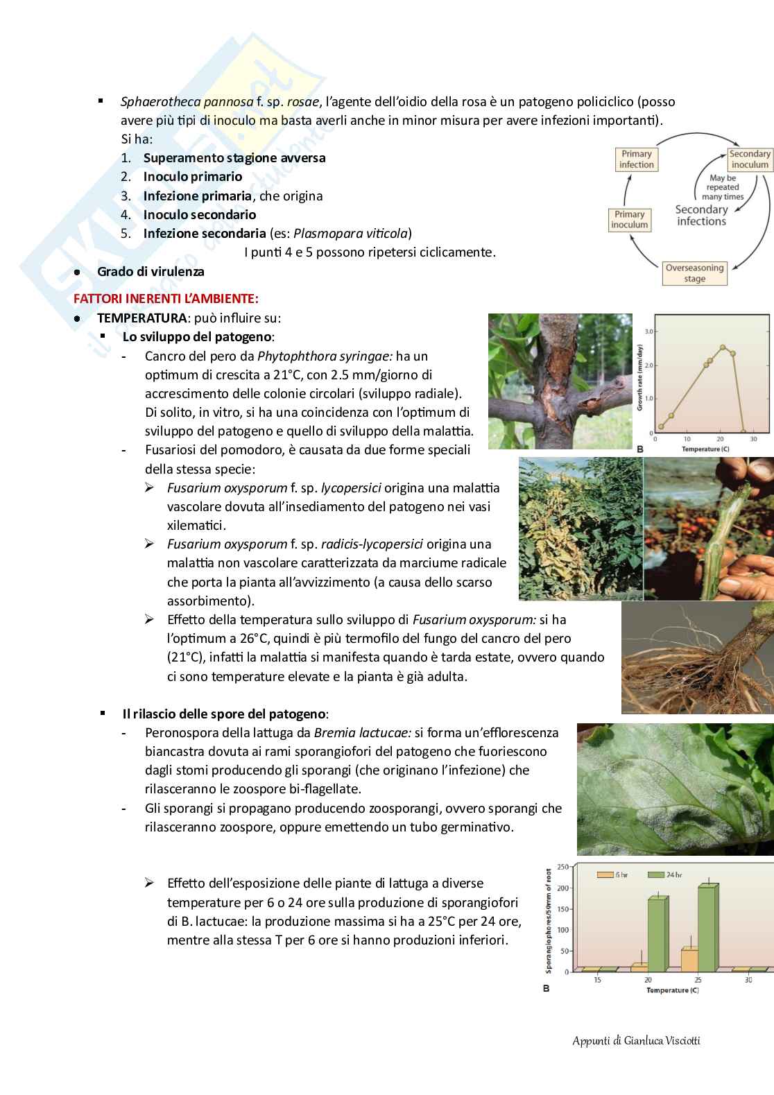 Patologia vegetale per preparazione esame Pag. 56