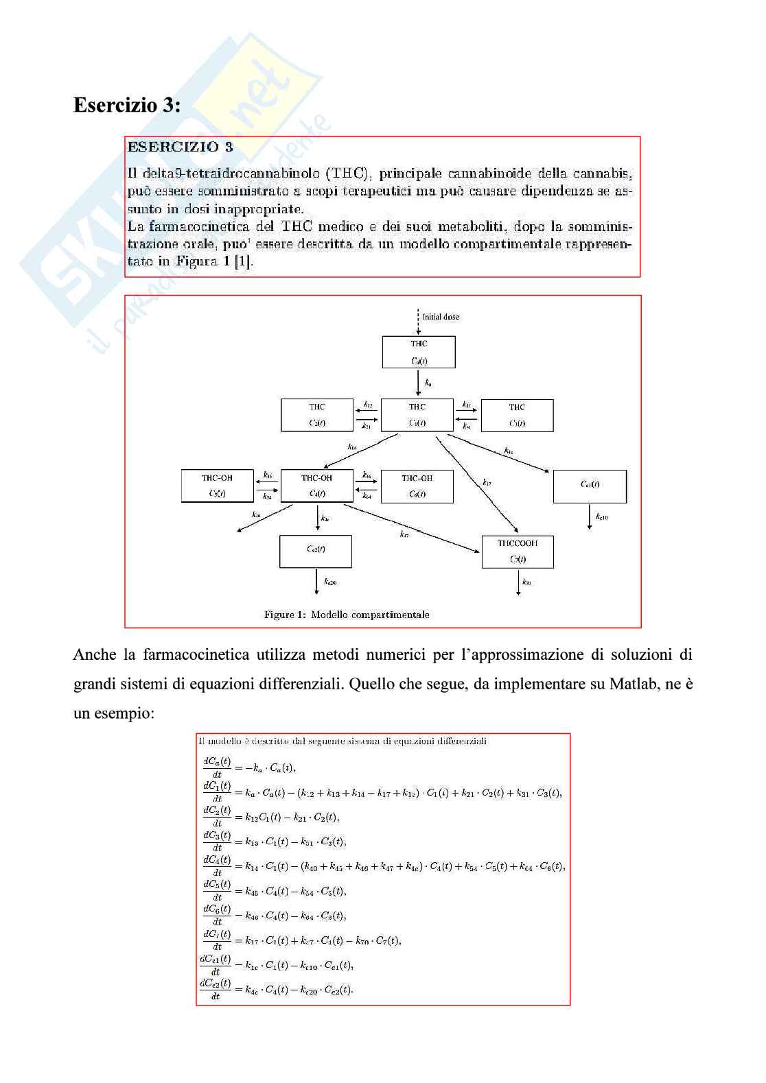 Terzo esercizio sui metodi ONE-STEP e introduzione metodi alle differenze finite Pag. 1