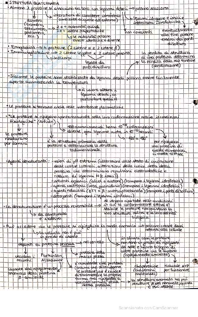 Appunti Chimica/biochimica Pag. 16