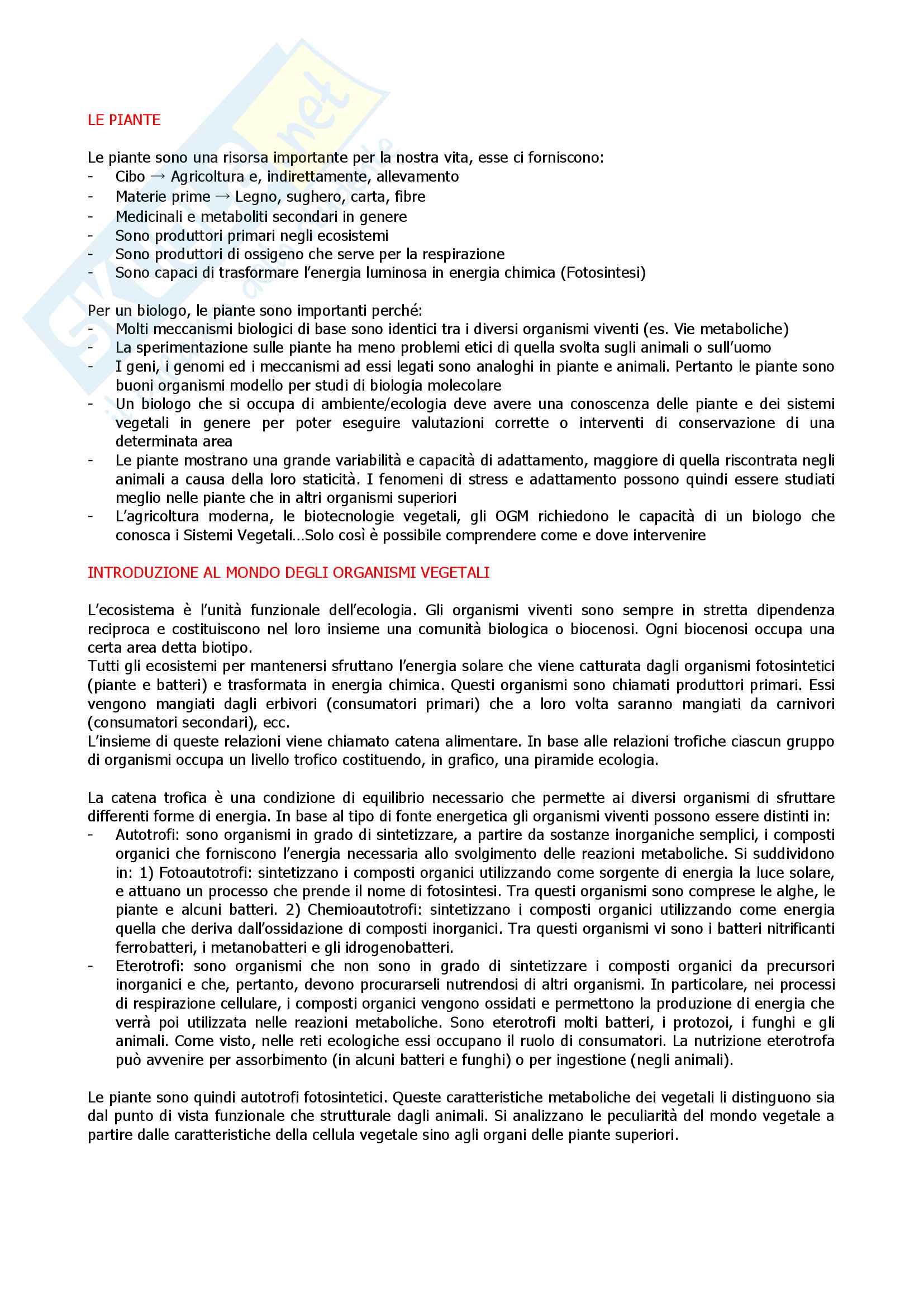 Botanica 1 Pag. 1