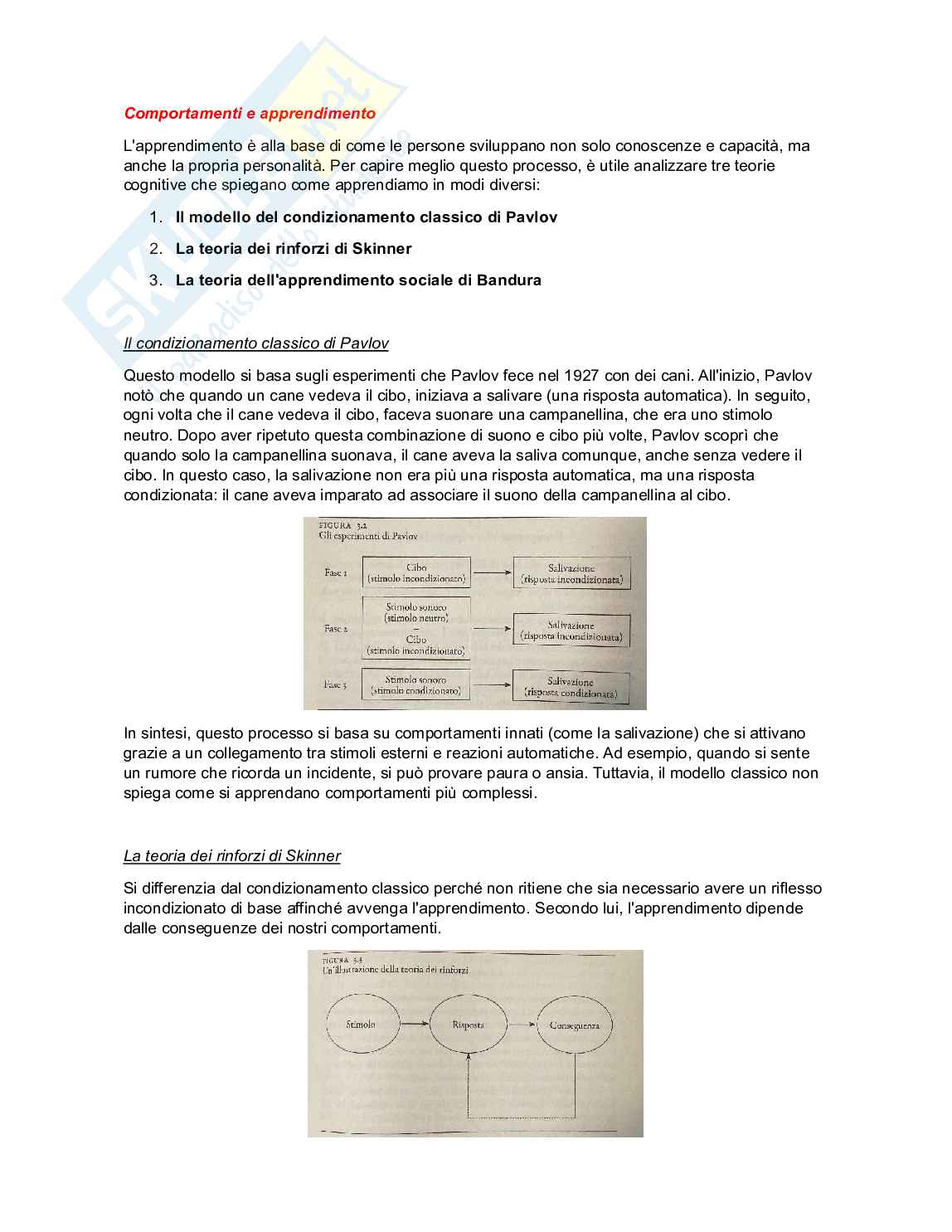 Riassunto esame Leadership e comportamento organizzativo, Prof. Pulcher Simone, libro consigliato Teoria e pratica del comportamento organizzativo, Cirella  Pag. 11