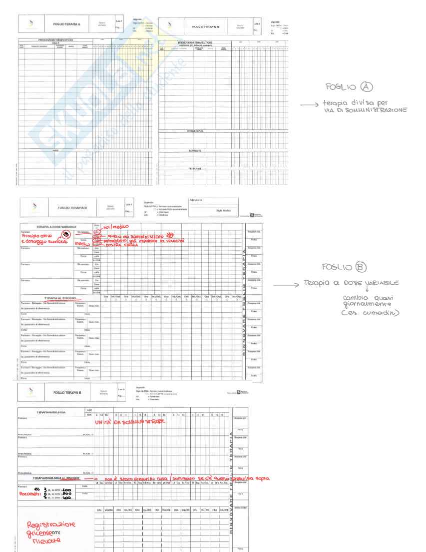 Infermieristica applicata ai percorsi diagnostici terapeutici assistenziali Pag. 16
