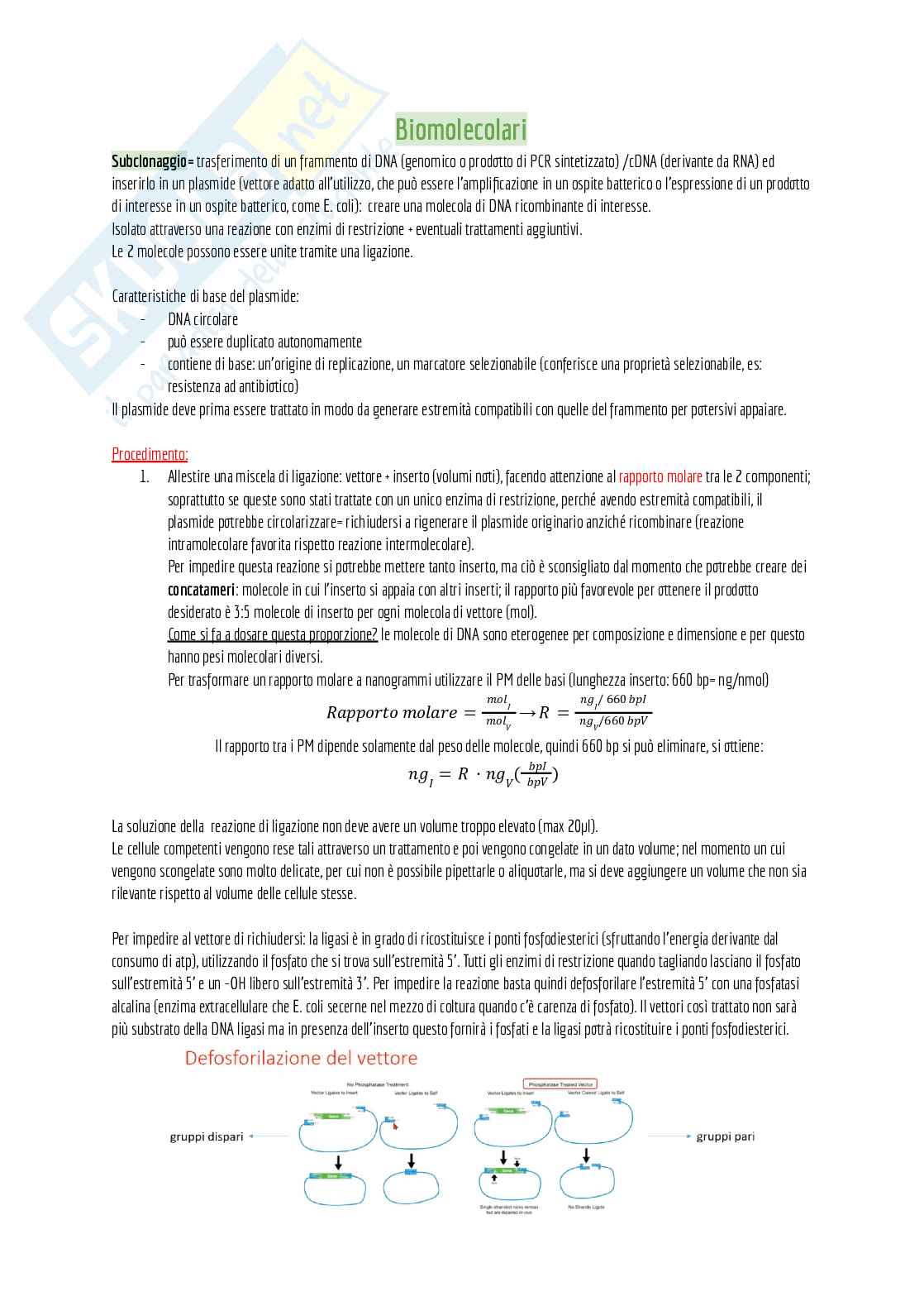 Appunti di laboratorio (teoria + pratica) + domande d'esame e alcuni esercizi svolti Pag. 1