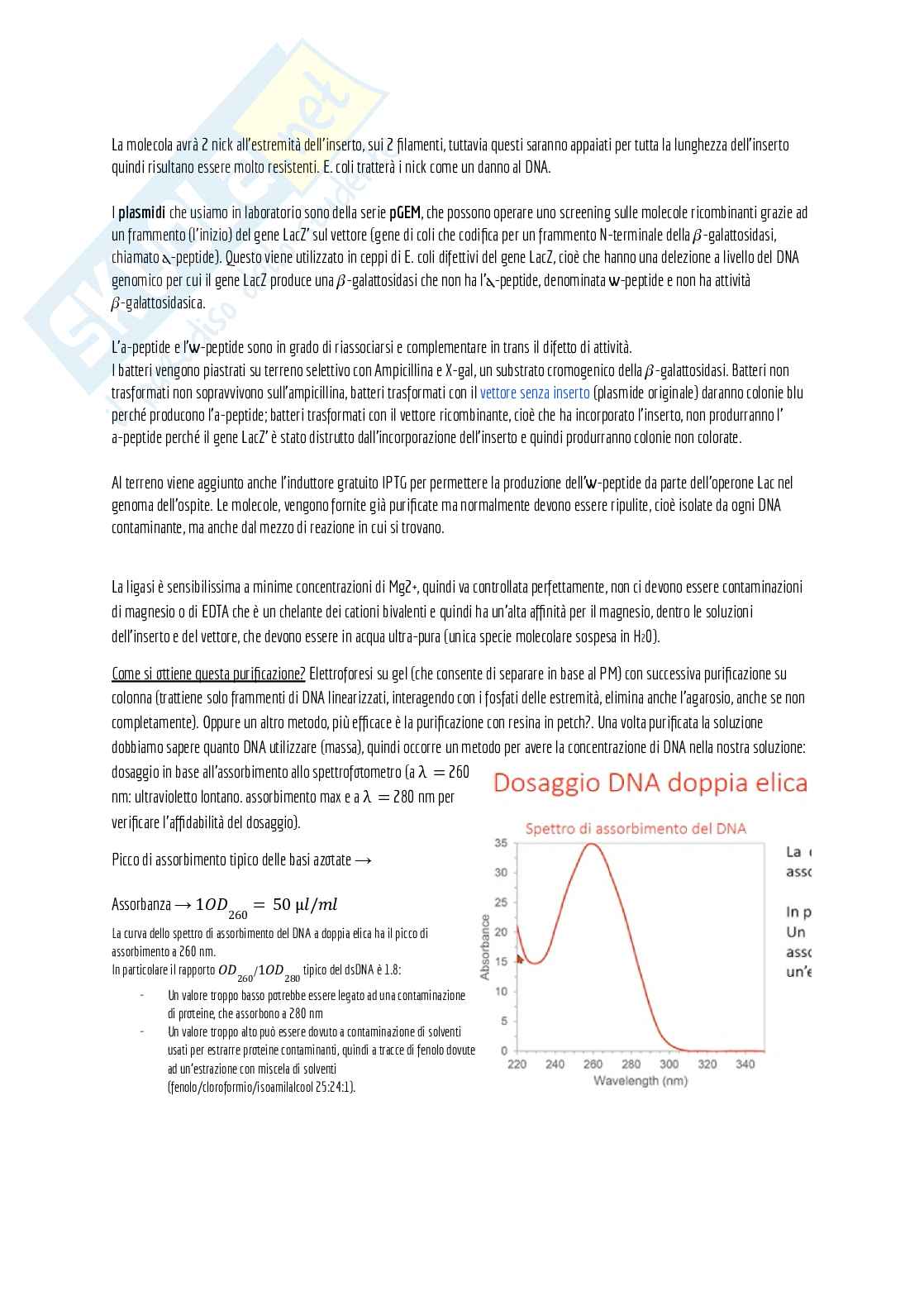 Appunti di laboratorio (teoria + pratica) + domande d'esame e alcuni esercizi svolti Pag. 2