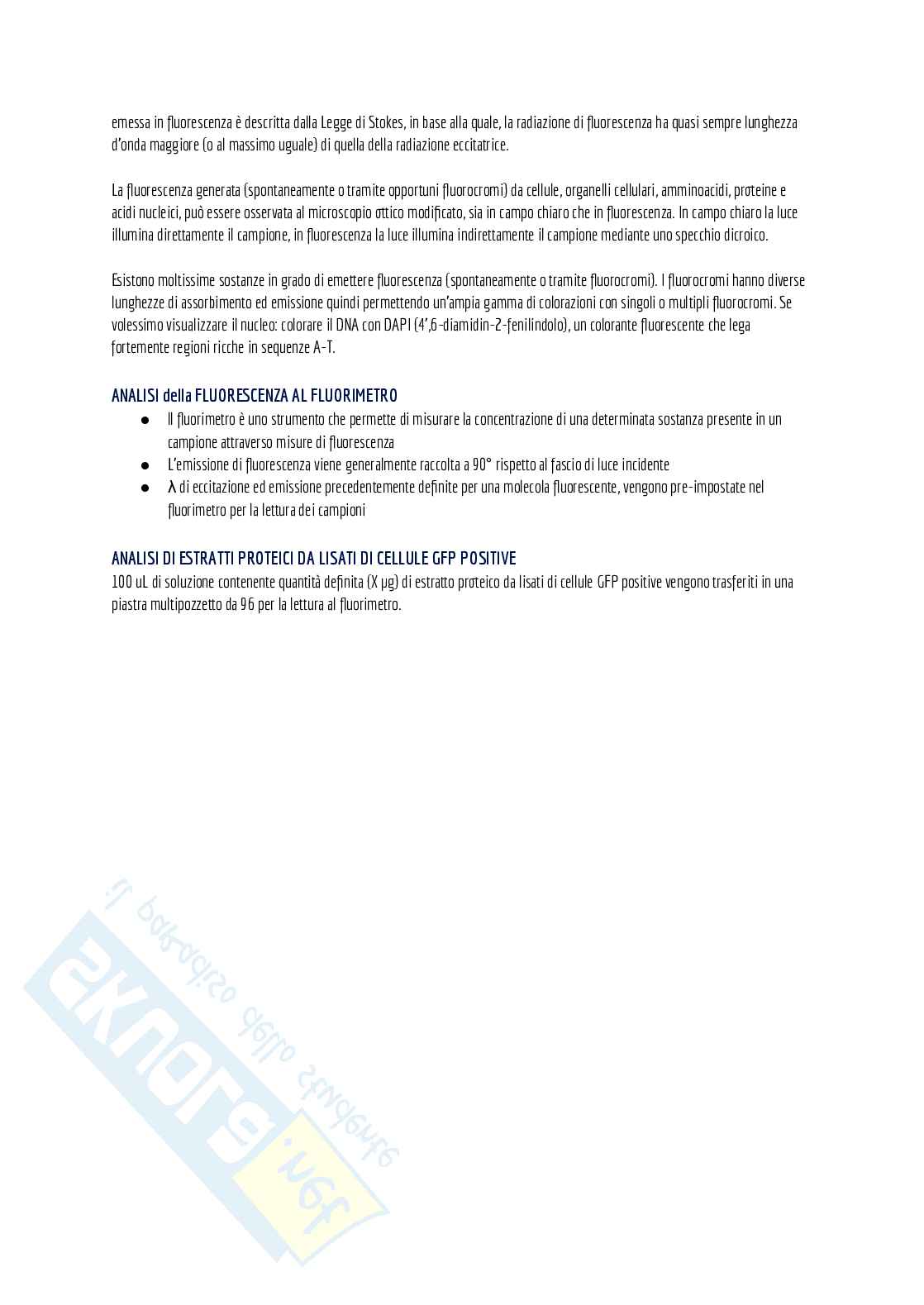 Appunti di laboratorio (teoria + pratica) + domande d'esame e alcuni esercizi svolti Pag. 31