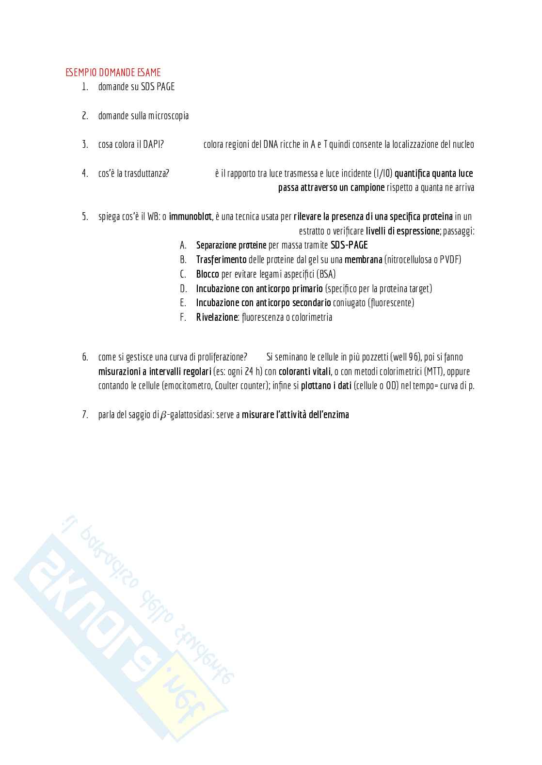 Appunti di laboratorio (teoria + pratica) + domande d'esame e alcuni esercizi svolti Pag. 41