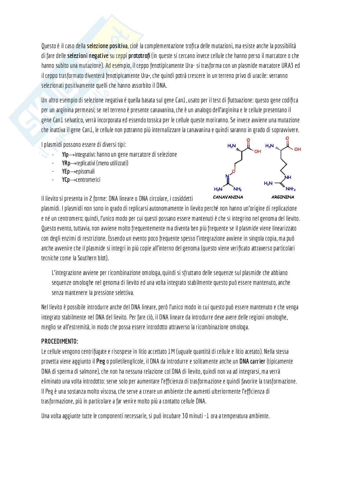 Appunti di laboratorio (teoria + pratica) + domande d'esame e alcuni esercizi svolti Pag. 46