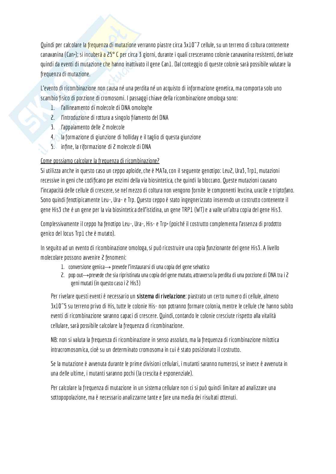 Appunti di laboratorio (teoria + pratica) + domande d'esame e alcuni esercizi svolti Pag. 51