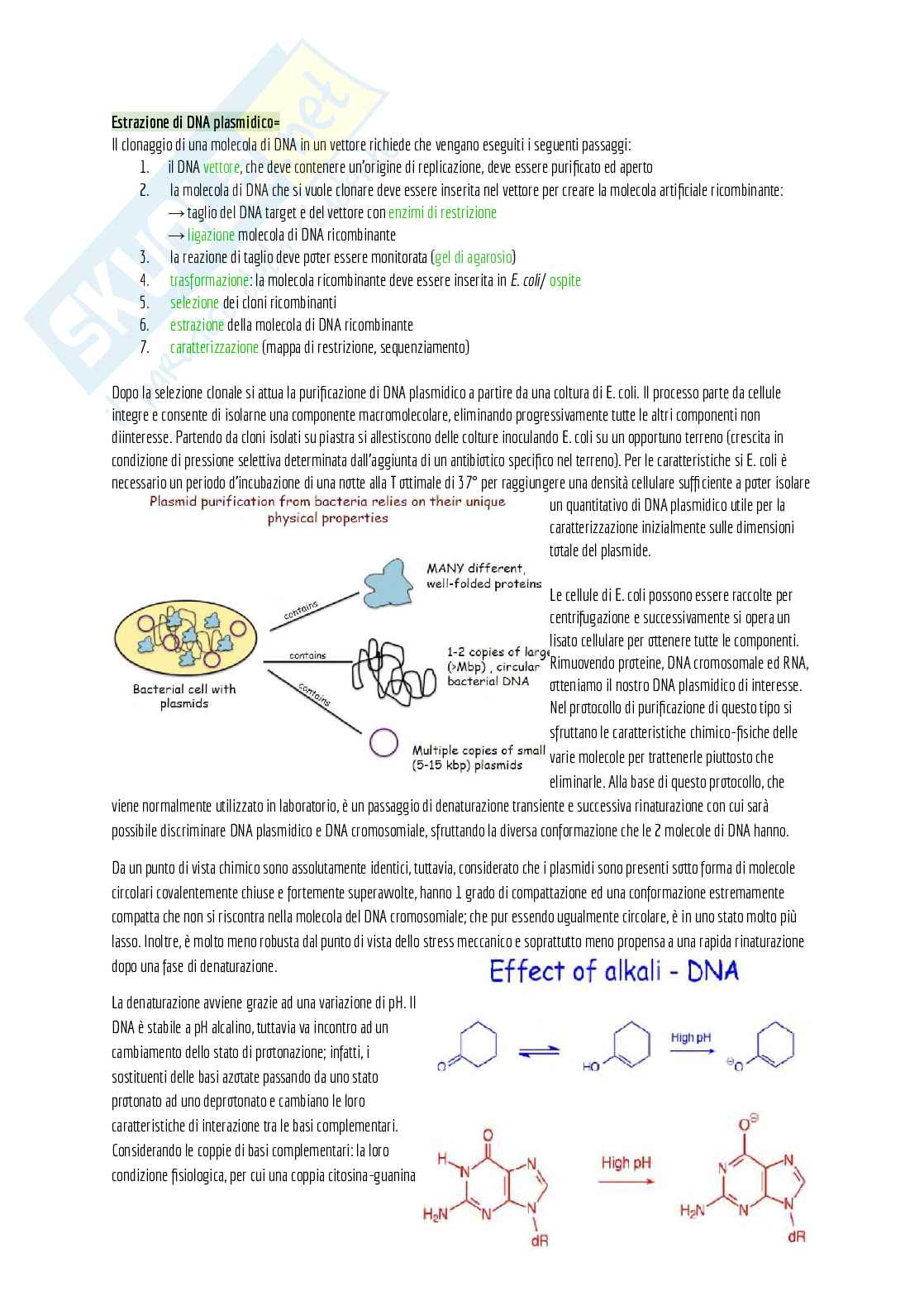Appunti di laboratorio (teoria + pratica) + domande d'esame e alcuni esercizi svolti Pag. 6