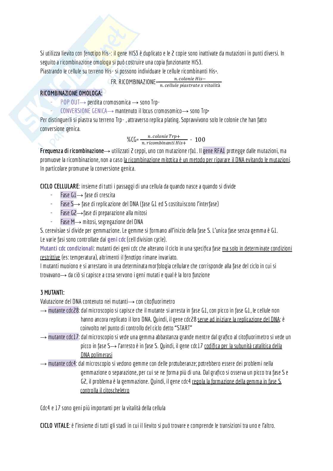 Appunti di laboratorio (teoria + pratica) + domande d'esame e alcuni esercizi svolti Pag. 61