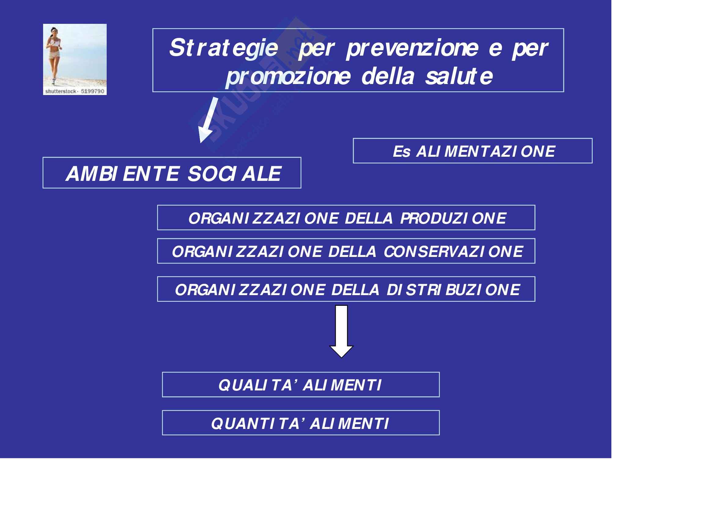 Sanità pubblica – Educazione sanitaria Pag. 41
