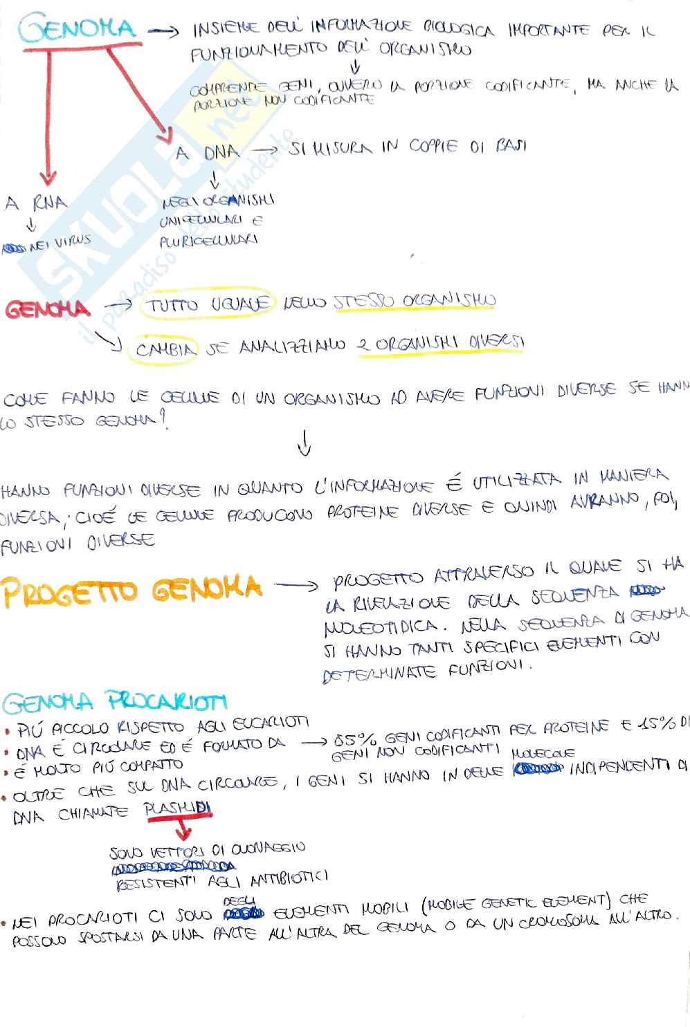 Schemi biologia molecolare
