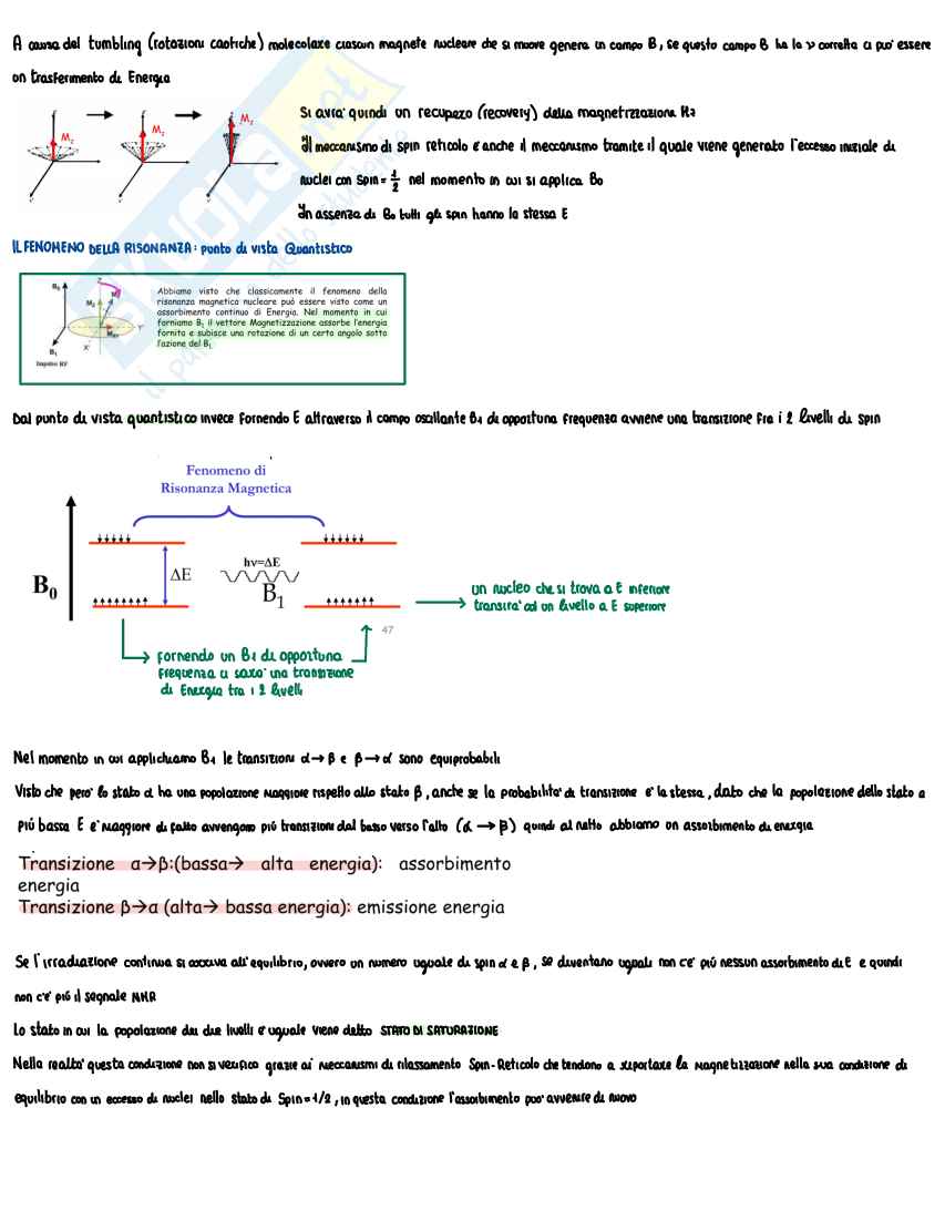 Metodologia NMR Pag. 16