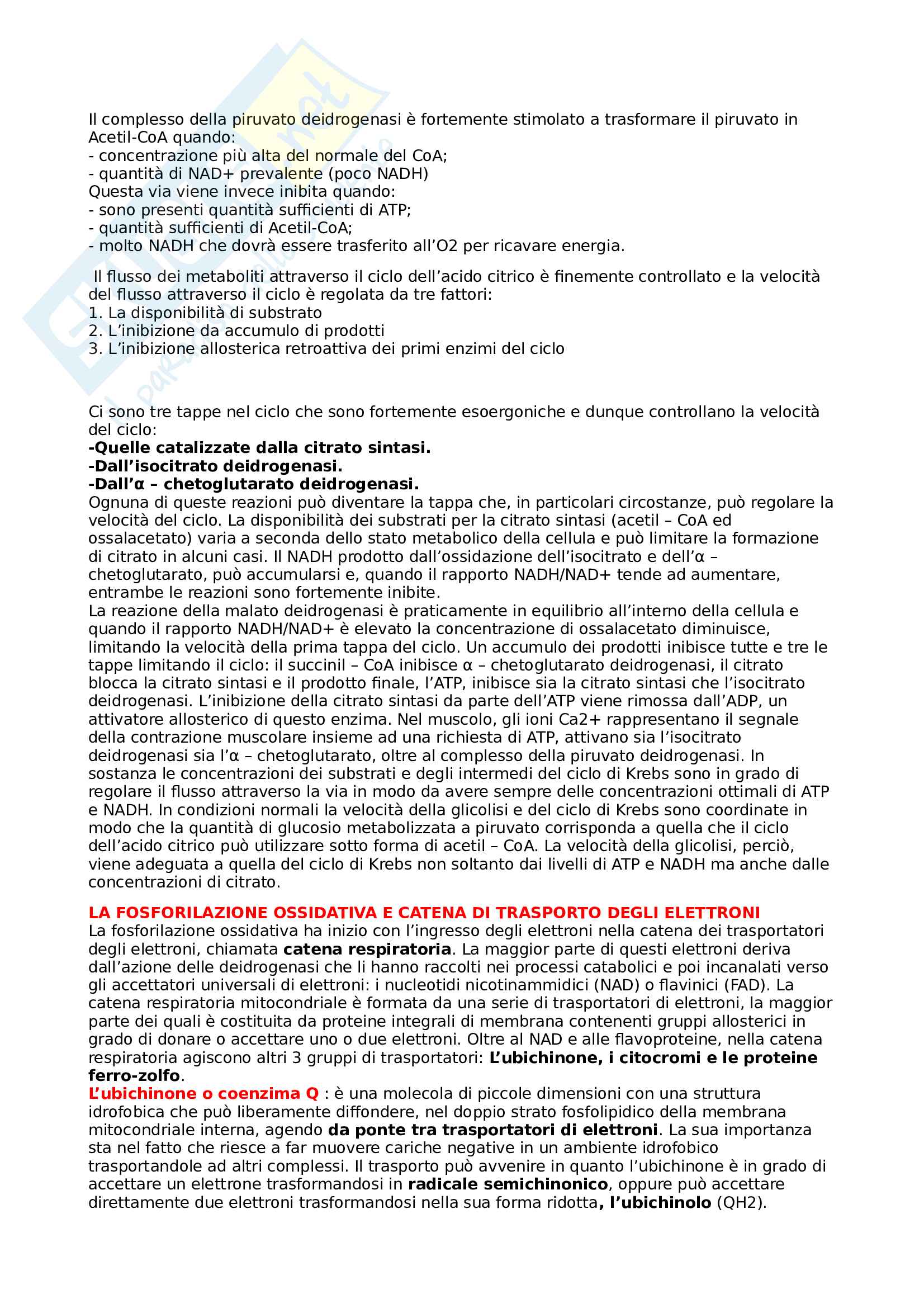 Biochimica 1 Pag. 21