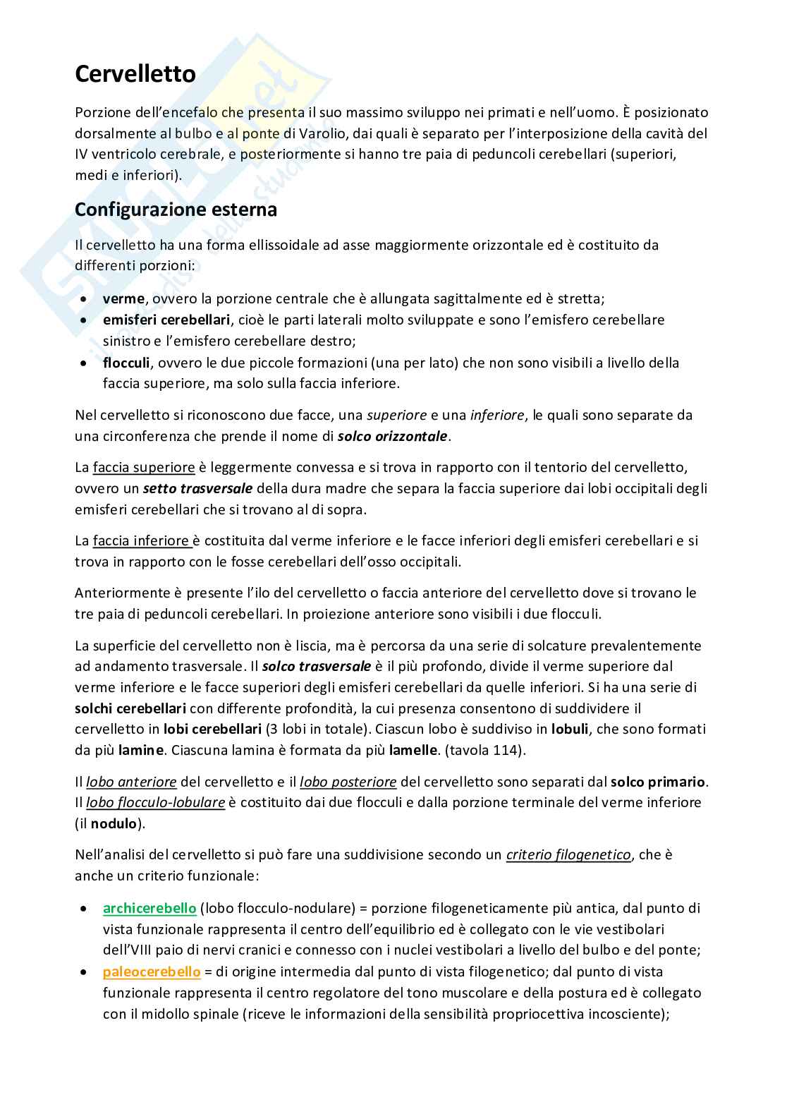 Sistema nervoso Pag. 26