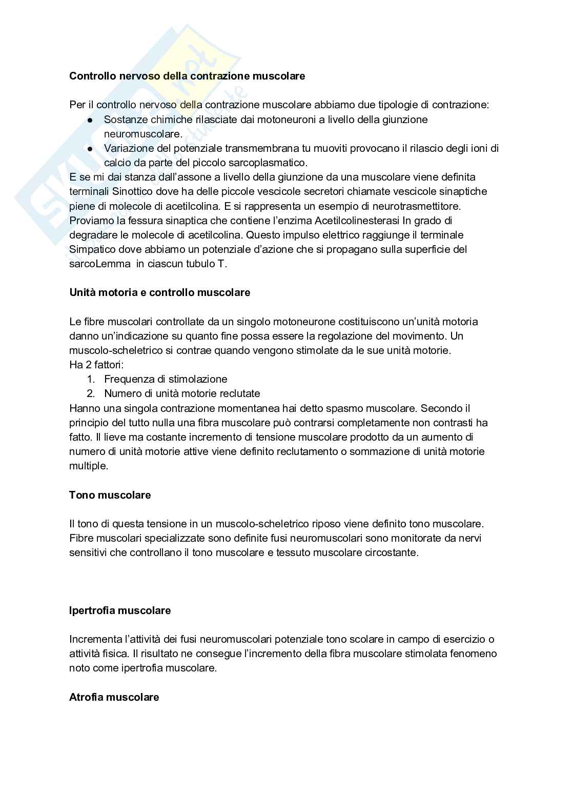 Appunti completi di Anatomia umana - Apparati e sistemi Pag. 16