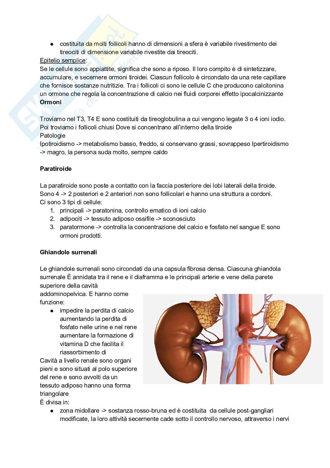 Appunti completi di Anatomia umana - Apparati e sistemi Pag. 21