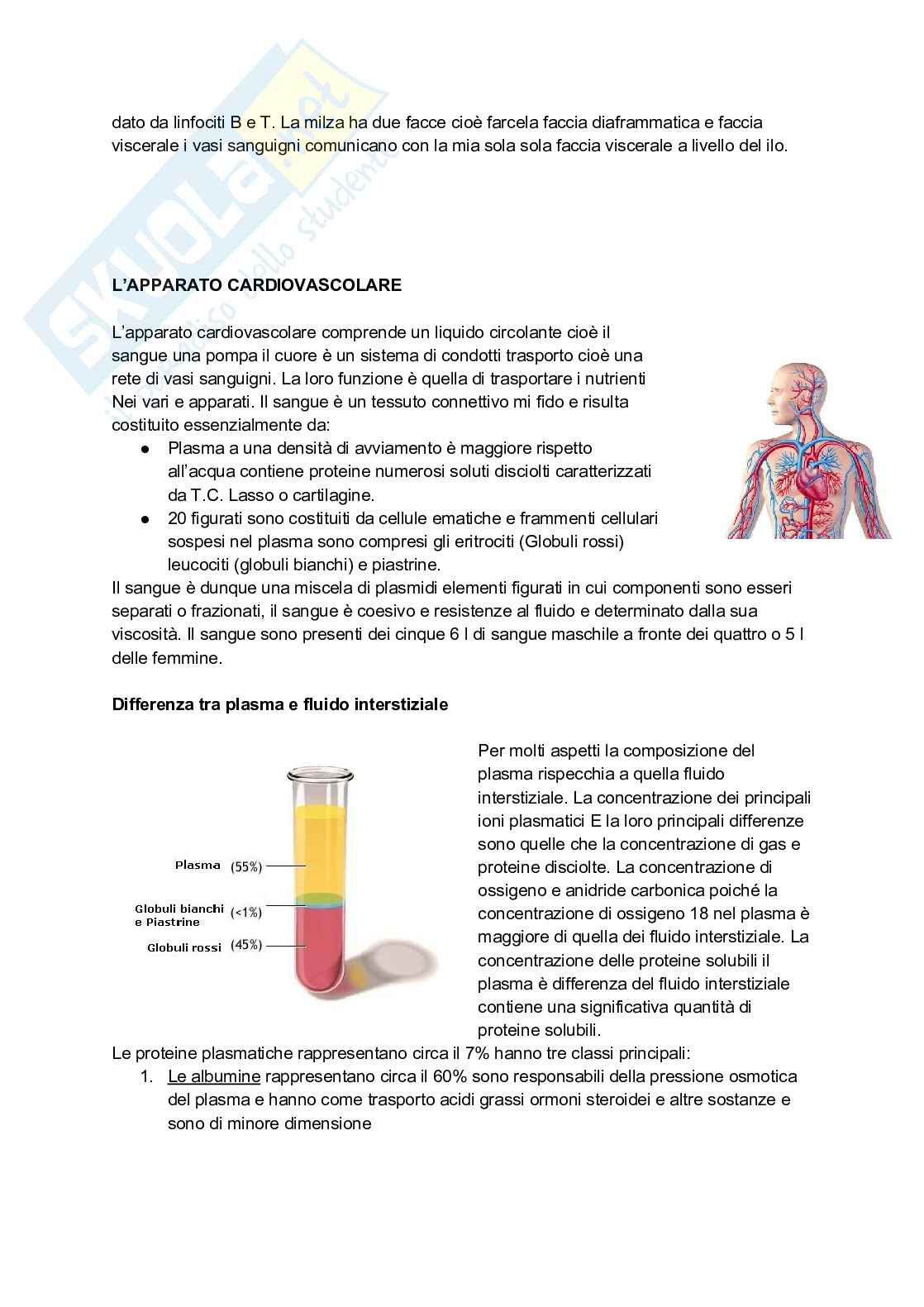 Appunti completi di Anatomia umana - Apparati e sistemi Pag. 26