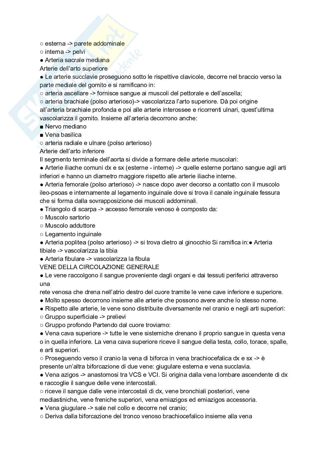 Appunti completi di Anatomia umana - Apparati e sistemi Pag. 31