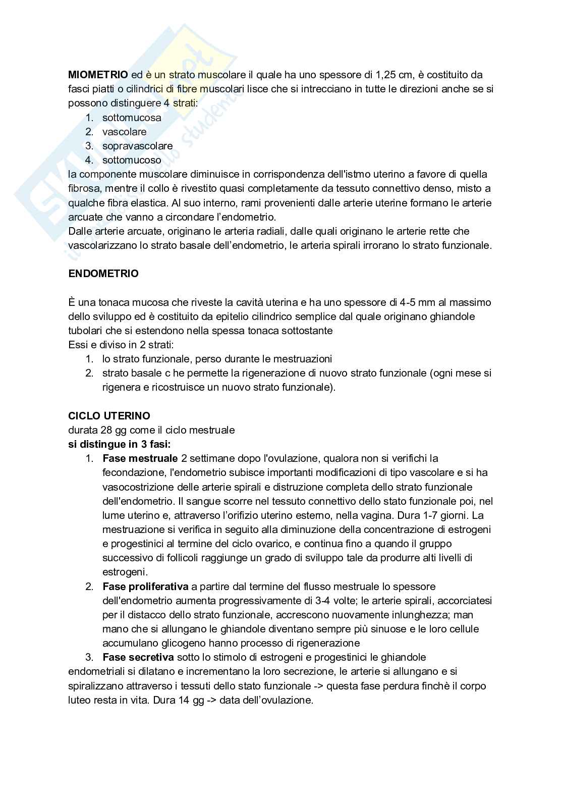 Appunti completi di Anatomia umana - Apparati e sistemi Pag. 51
