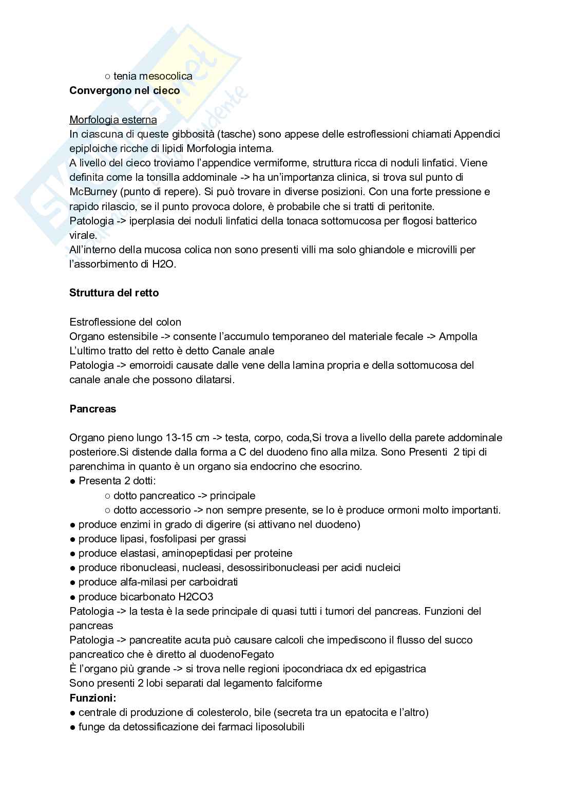 Appunti completi di Anatomia umana - Apparati e sistemi Pag. 61