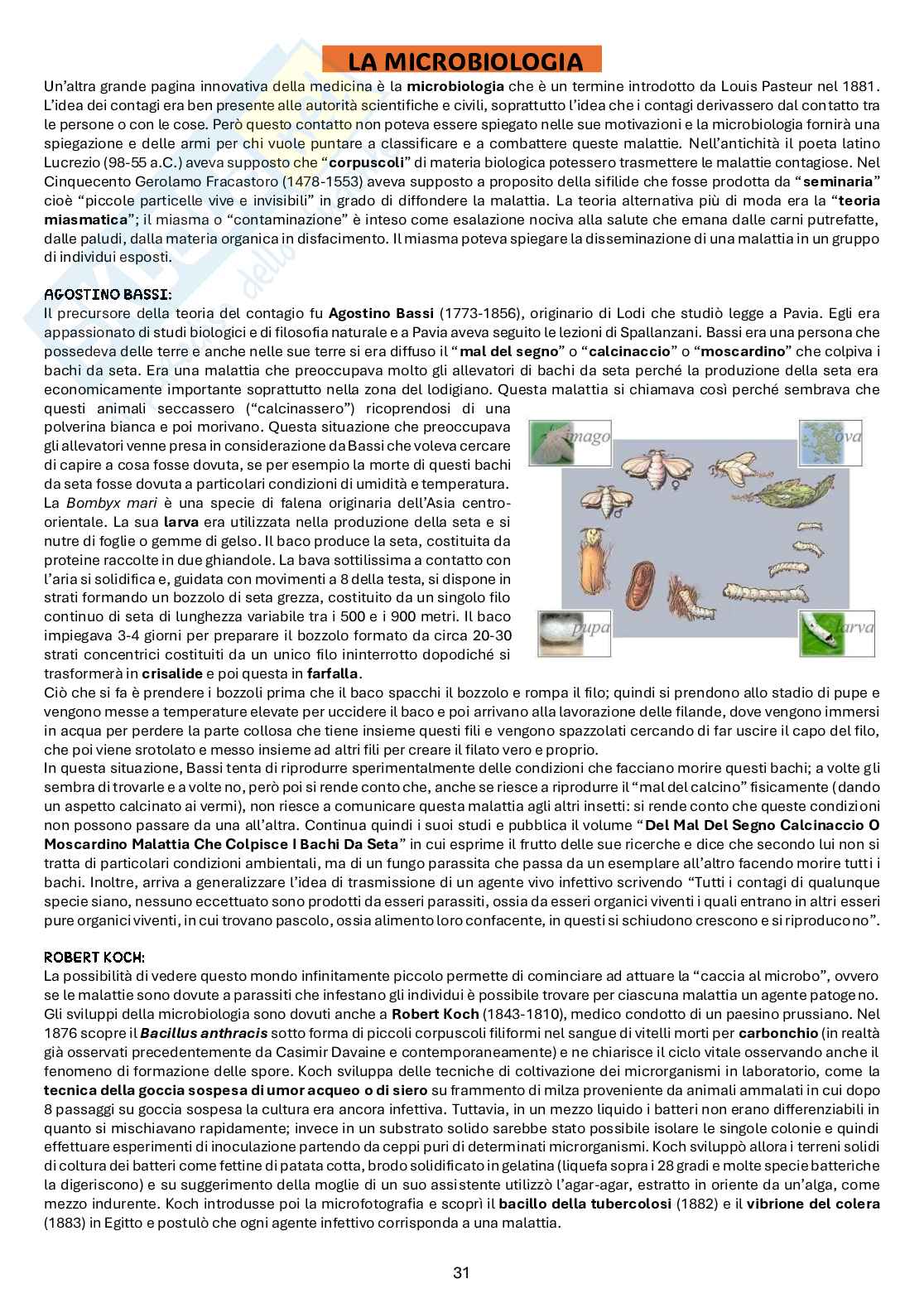 Appunti di Storia della medicina Pag. 31