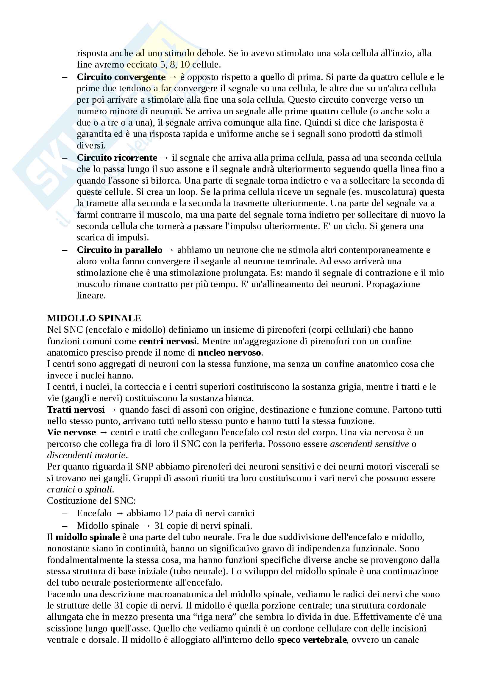 Sistema nervoso Pag. 6